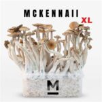 Magic Mushroom Grow Kit McKennaii XL by Mondo®