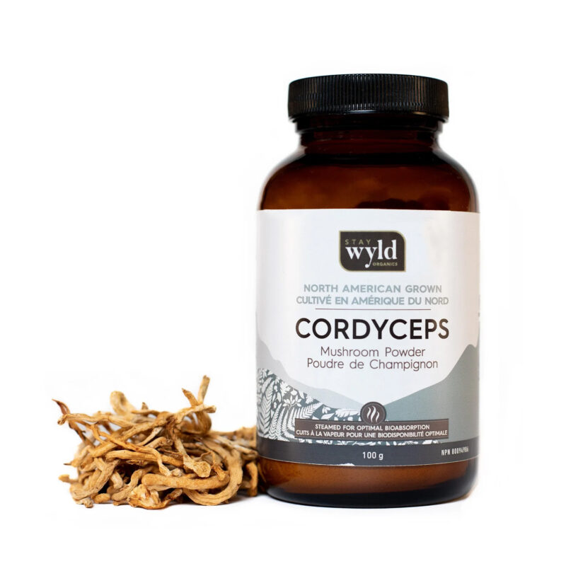 Stay Wyld Organics – Cordyceps Mushroom Capsules