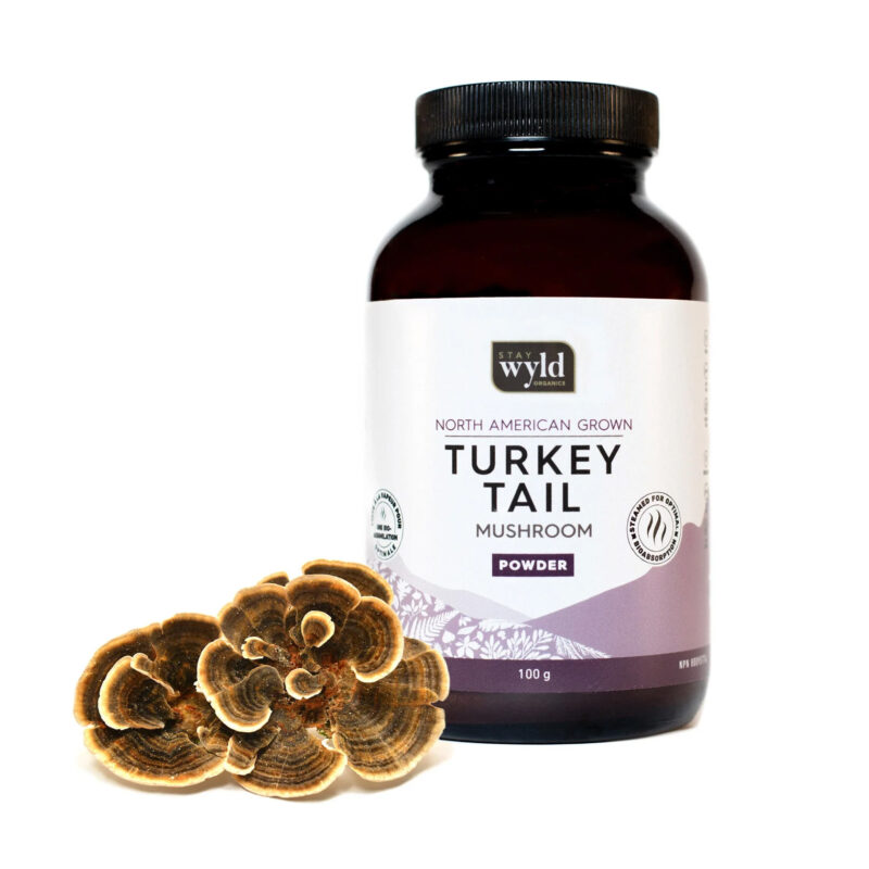 Stay Wyld Organics – Turkey Tail Mushroom Capsules