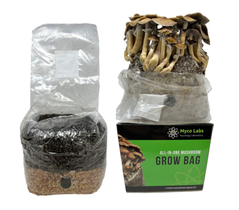 All-in-One Mushroom Grow Bag (4 lbs) for Manure Loving Mushrooms