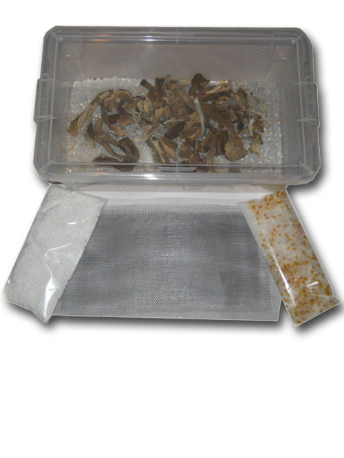 Easy Mushroom Drying Kit