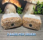 Premium 5-Grain Spawn Bags