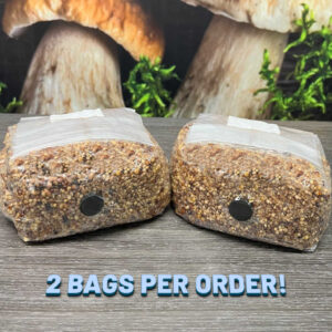 Premium 5-Grain Spawn Bags